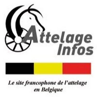 attelageinfo's profile picture. 