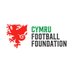 Cymru Football Foundation (@CymruFdn) Twitter profile photo