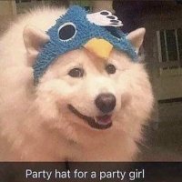 Ash ๐ด ๐ณ๏ธโโง๏ธ๐๐ต๐ธ (@arsonist_puppy) 's Twitter Profile