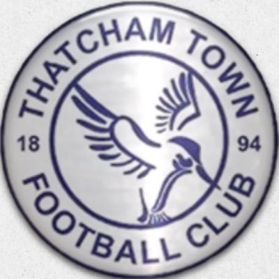 Thatcham_TownFC Profile Picture