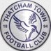 Thatcham Town FC (@Thatcham_TownFC) Twitter profile photo