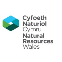 Cyf Naturiol Cymru CDC / Natural Res Wales SWC(@CyfNatCymCDC) 's Twitter Profile Photo