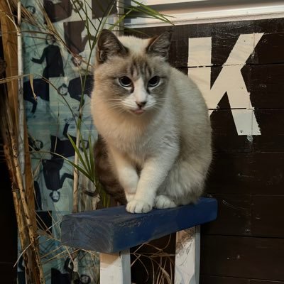 22dollar_'s profile picture. 음음... 일상계입니다...?! 게임,운동,여행 등 일상생활 얘기, 뻘글 잘 부탁드려요