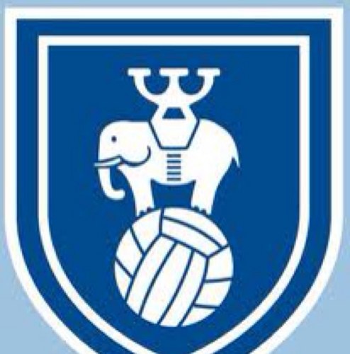 skyblueparkey's profile picture. 