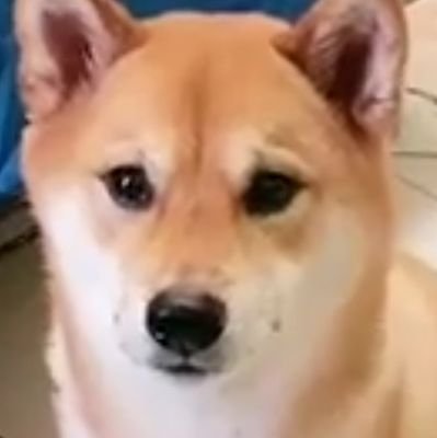 新しくなりました!よろしくお願いします┏○ﾍﾟｺｯ✨✨