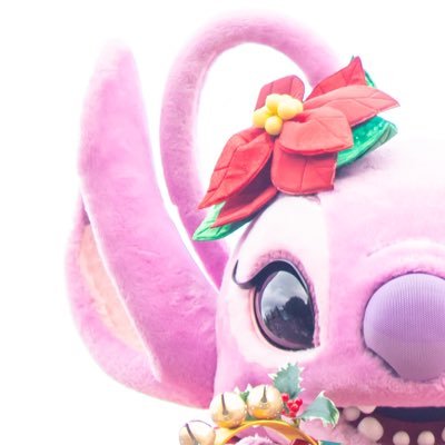 nabecha_624's profile picture. 頭の中は常にエンジェルちゃんのことでいっぱい𓂃𓈒𓏸