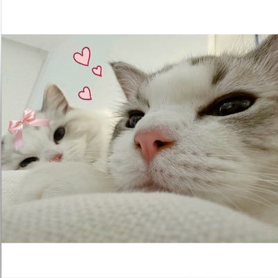 zz_chicz 🍀さんのプロフィール画像