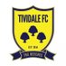 Tividale FC 💛💙 (@TiviFCofficial) Twitter profile photo