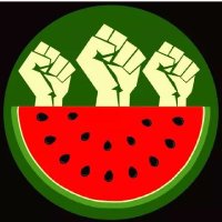 Tuna13 (@havzullah_1) 's Twitter Profile Photo Tuna13 (@havzullah_1) 's Twitter Profile Photo