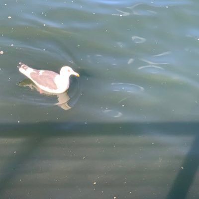 k54490637839's profile picture. 阪大　ΣB3