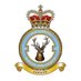 33 Squadron RAF (@33SqnRAF) Twitter profile photo