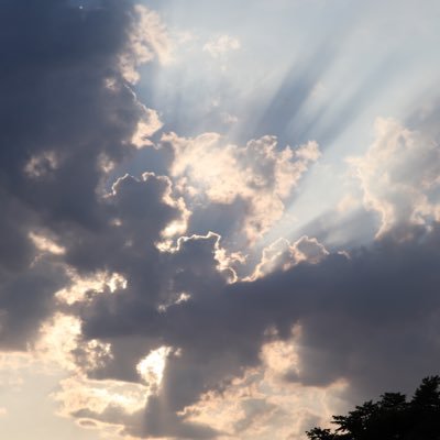 基本見る専ですます アニメ、写真、音楽、 ピアノ、読書が好き 刺さったものは片っ端から👍 リポスト フォローさせていただきます!! おすすめの本教えてください!