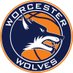 Worcester Wolves Womenโs Basketball Team (@wnblwolves) Twitter profile photo Worcester Wolves Womenโs Basketball Team (@wnblwolves) Twitter profile photo