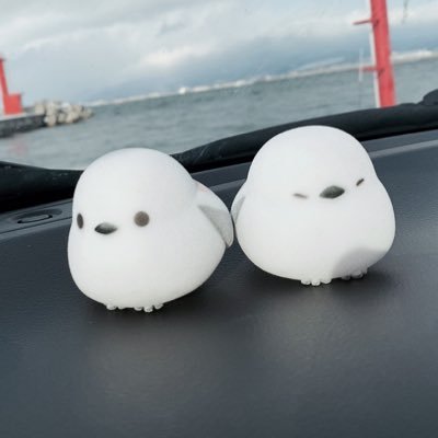 knz_ebi's profile picture. 道民です！！のんびり懸賞してます。