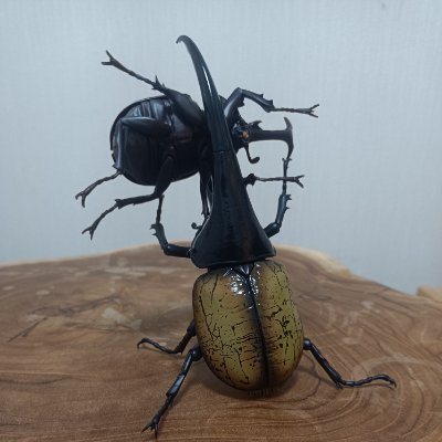 KiramuandKiramu's profile picture. 無断フォロー失礼します
始めまして！　
私はいきもの大図鑑の写真投稿しています！
他にも生き物系やその他諸々投稿しております。よろしくお願いします！！