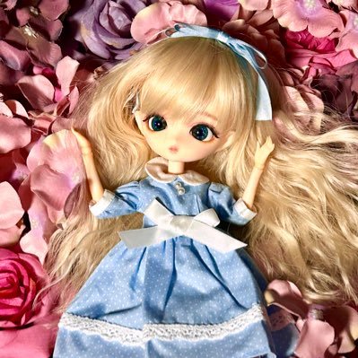 成人済🌸ドールに人生狂わされてる。ドール好きな人と繋がりたいです!無言フォロー大歓迎です🌸fgo・🚬🍓(固定)・🍈🍞・旧J・HPその他ちょっと呟きます