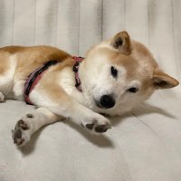 ユージン (@yujin0131rs) 's Twitter Profile