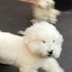 오웅さんのプロフィール画像
