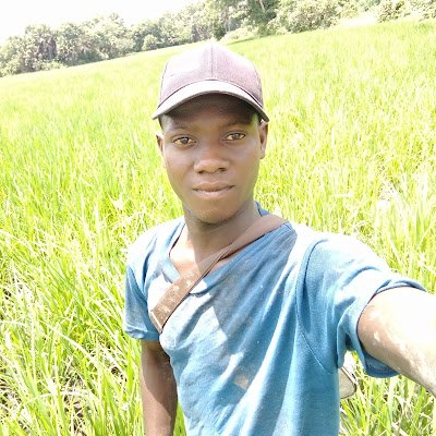 Entrepreneur agricole
Pépiniériste et production maraîchers  Producteur du riz
Chargé de rédaction des projets REJEADD de Dassa Zoumè