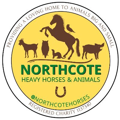 Northcote Heavy Horse Centre - A horse sanctuary & animal welfare charity ran entirely by volunteers & donations - Registered Charity No 1137340