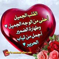 عبدالكريم محمد (@bdlkrym82848522) Twitter profile photo