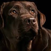 amro_sou's profile picture. 