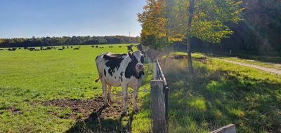 Blijf graag van alles op de hoogte