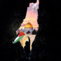 Paddy Stinian🔻 #FREEPALESTINE 🇵🇸 (@k8_lfc) 's Twitter Profile Photo Paddy Stinian🔻 #FREEPALESTINE 🇵🇸 (@k8_lfc) 's Twitter Profile Photo