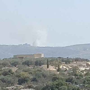 sorena3922's profile picture. 