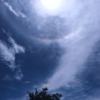 geybmatias's profile picture. i like cats n dogs