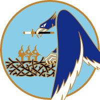 École de l'air et de l'espace(@Ecoledelair) 's Twitter Profile Photo