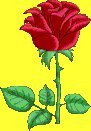 I am a followers of Mohammad Bayazeed Khan Panni
(The Leader Of The Time)
hezbuttawheed.ocm