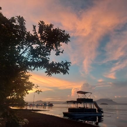 lizlizlizz's profile picture. 😶 Music Publisher by trade.