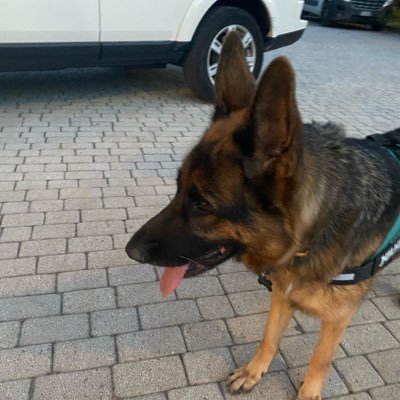 SiviRiv's profile picture. /