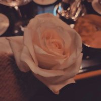 うーちゃん (@y_uuulilyy) 's Twitter Profile Photo