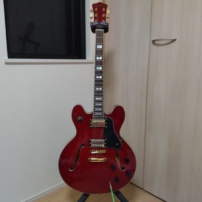 #Joebonamassa#marshall#tsmini#民生#イエモン#エレカシ#epiphone創設150周年#stafford#blues#lespaul1959#セミアコ星人