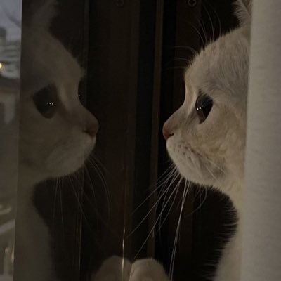 Andres1201_'s profile picture. 