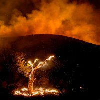 Irene H (@heyehrenfrau) 's Twitter Profile