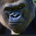 Matthew (@spare_monkeys) Twitter profile photo Matthew (@spare_monkeys) Twitter profile photo