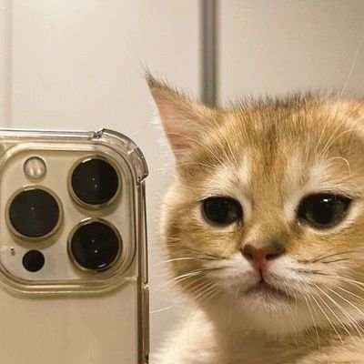 Saeed_Naik7's profile picture. Ab aaye ho to follow he karlo🙂