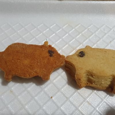 Politólogo/UNAM/Por fin regresé a donde todo inició/Aquello que somos y al mismo tiempo estamos dejando de ser/Aquí estamos y no nos vamos.