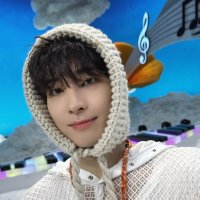 *.♡ あ ち ゃ ん︎ ♡.* (@wonwoo_17_carat) 's Twitter Profile