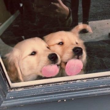 anjdynn's profile picture. 왜나를좋아해요?