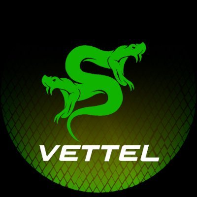SDW_Vettel Profile Picture