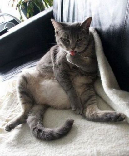 yaneneon's profile picture. 