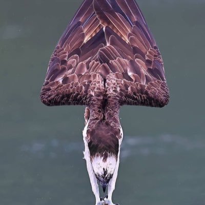 Siyabon47858132's profile picture. 