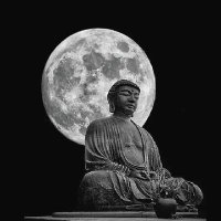 தண்ணி பாம்பு💙 (@thannipaambu) 's Twitter Profile Photo தண்ணி பாம்பு💙 (@thannipaambu) 's Twitter Profile Photo