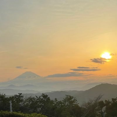朝活記録用/2025税理士消費税法(TAC通学中)/税理士事務所勤務4年目/筋トレ/サウナ/やきううううう(DeNA)