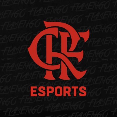 Flamengo Esports Profile