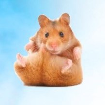 LuckytwiceCS's profile picture. CS2 skin nerd :3
Message me on steam, rarely check twitter dms.
https://t.co/ghHtaPzwZM